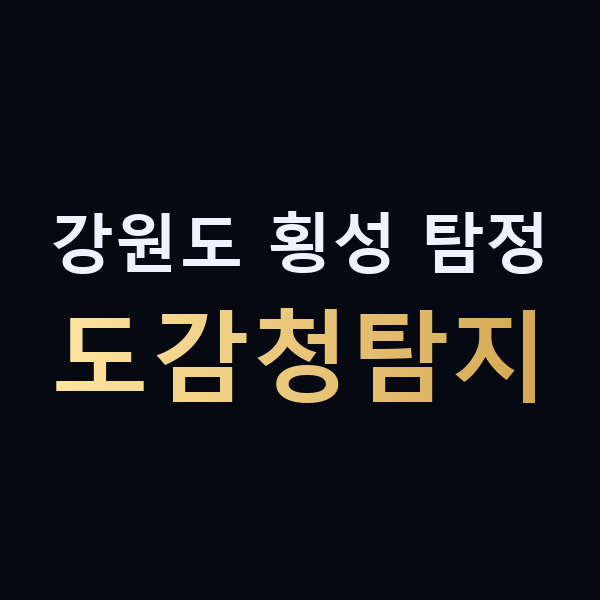 강원도 횡성 탐정 도감청탐지 맥가이버