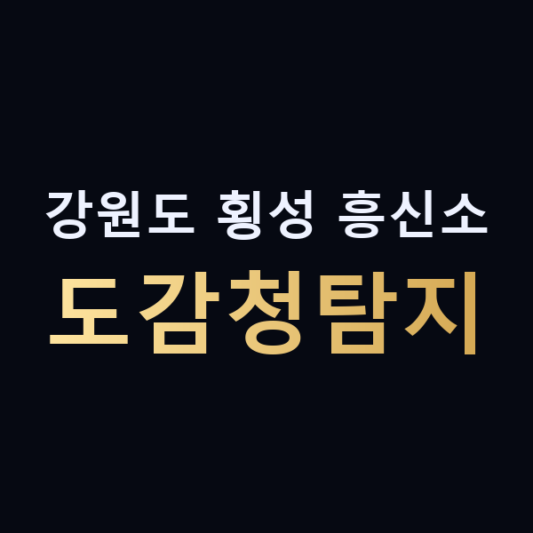 강원도 횡성 흥신소 도감청탐지 맥가이버