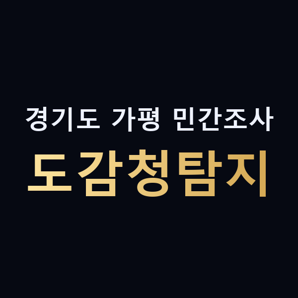 경기도 가평 민간조사 도감청탐지 맥가이버