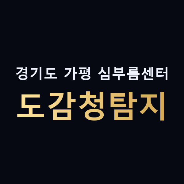 경기도 가평 심부름센터 도감청탐지 맥가이버