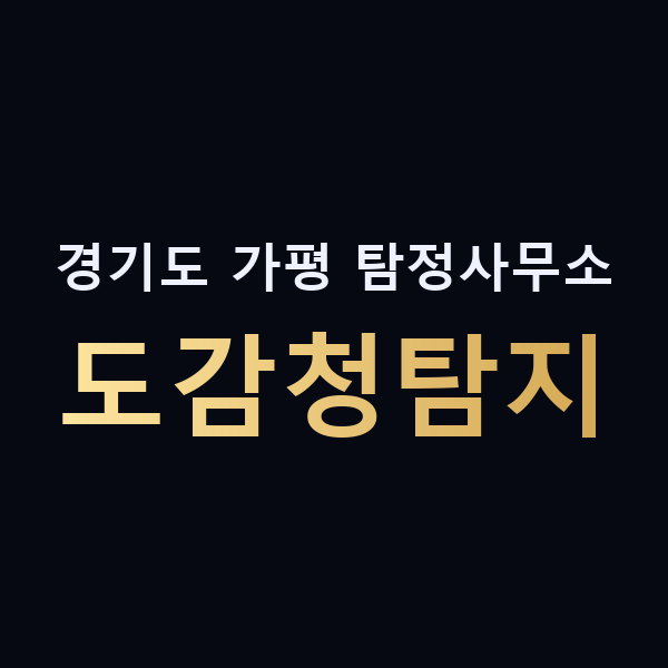 경기도 가평 탐정사무소 도감청탐지 맥가이버