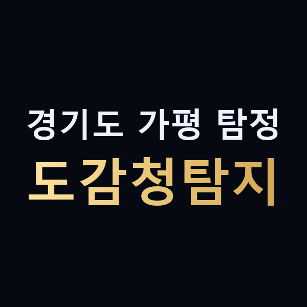 경기도 가평 탐정 도감청탐지 맥가이버