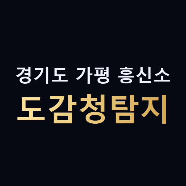 경기도 가평 흥신소 도감청탐지 맥가이버