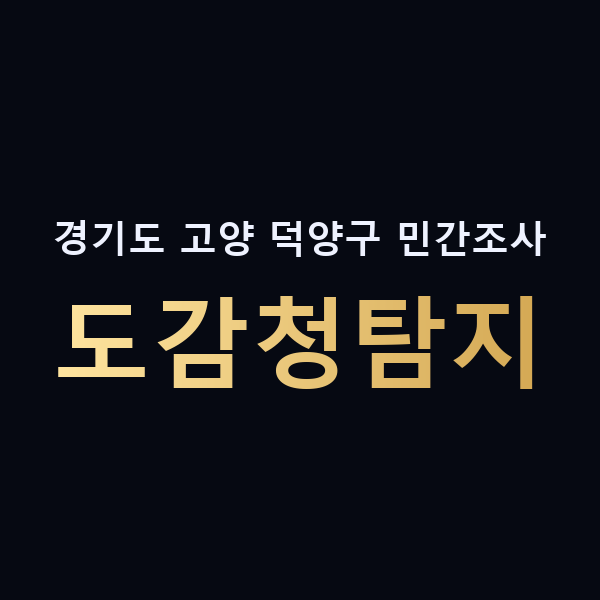 경기도 고양 덕양구 민간조사 도감청탐지 맥가이버
