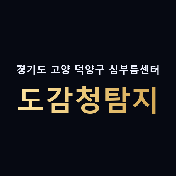 경기도 고양 덕양구 심부름센터 도감청탐지 맥가이버