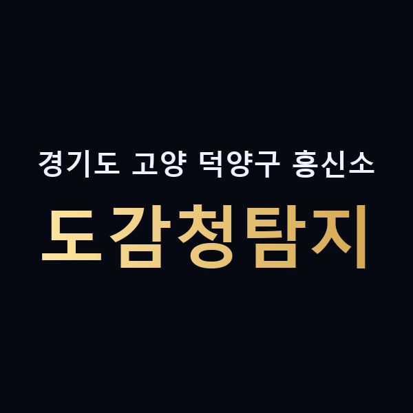 경기도 고양 덕양구 흥신소 도감청탐지 맥가이버
