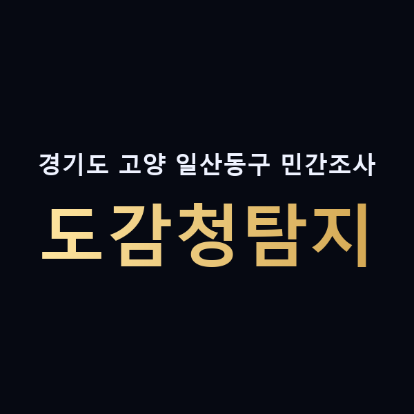 경기도 고양 일산동구 민간조사 도감청탐지 맥가이버
