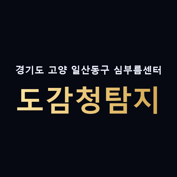 경기도 고양 일산동구 심부름센터 도감청탐지 맥가이버