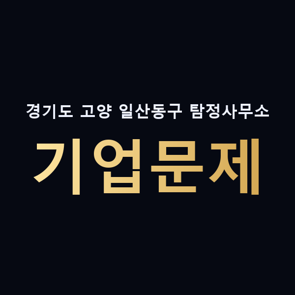 경기도 고양 일산동구 탐정사무소 기업문제 맥가이버