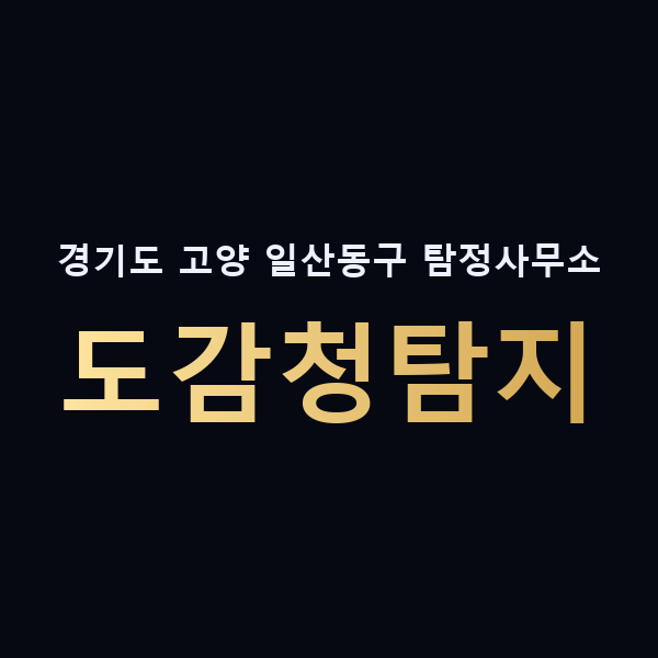 경기도 고양 일산동구 탐정사무소 도감청탐지 맥가이버