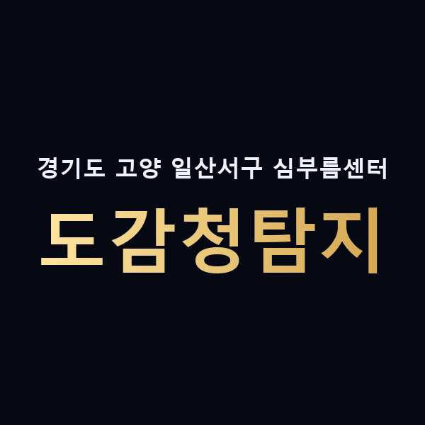 경기도 고양 일산서구 심부름센터 도감청탐지 맥가이버