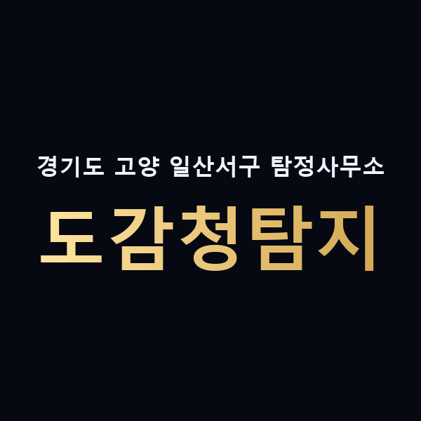 경기도 고양 일산서구 탐정사무소 도감청탐지 맥가이버