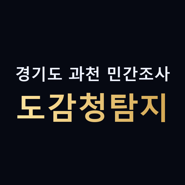 경기도 과천 민간조사 도감청탐지 맥가이버