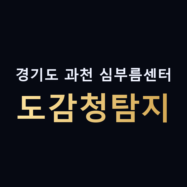 경기도 과천 심부름센터 도감청탐지 맥가이버
