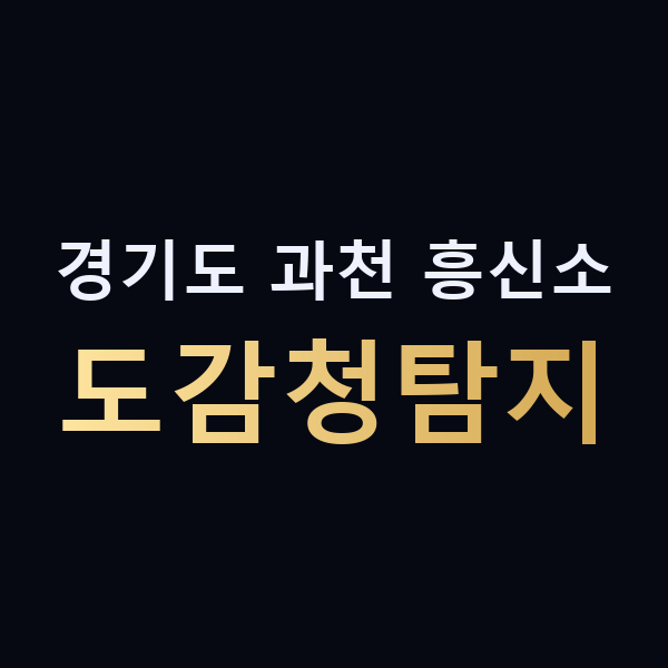 경기도 과천 흥신소 도감청탐지 맥가이버