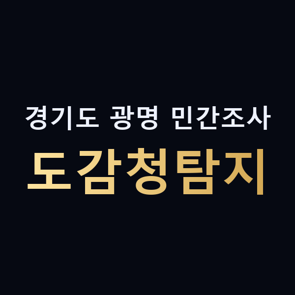 경기도 광명 민간조사 도감청탐지 맥가이버