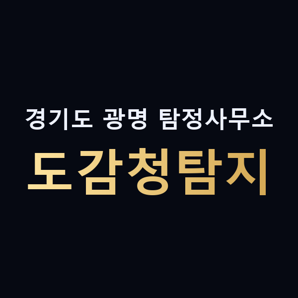 경기도 광명 탐정사무소 도감청탐지 맥가이버