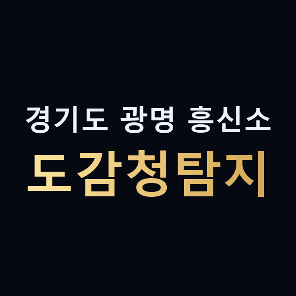 경기도 광명 흥신소 도감청탐지 맥가이버