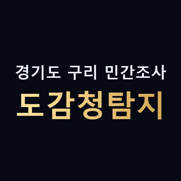 경기도 구리 민간조사 도감청탐지 맥가이버