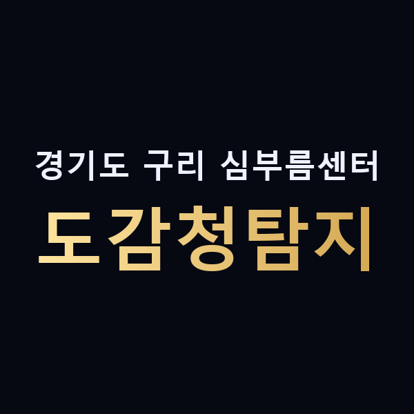경기도 구리 심부름센터 도감청탐지 맥가이버