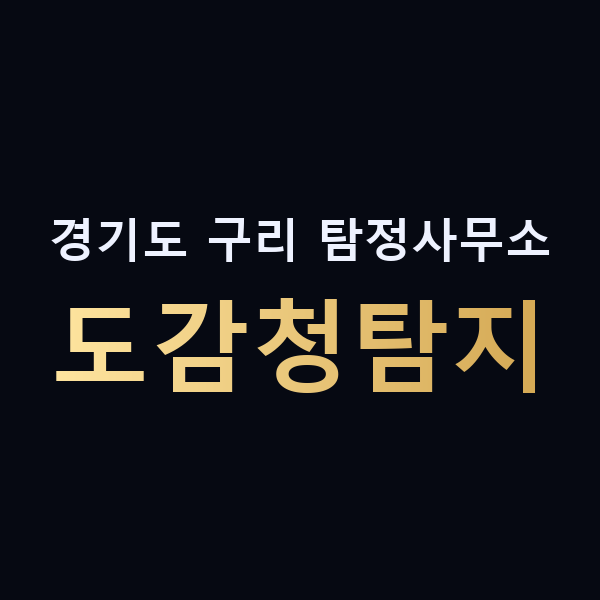 경기도 구리 탐정사무소 도감청탐지 맥가이버
