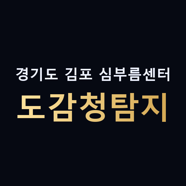경기도 김포 심부름센터 도감청탐지 맥가이버