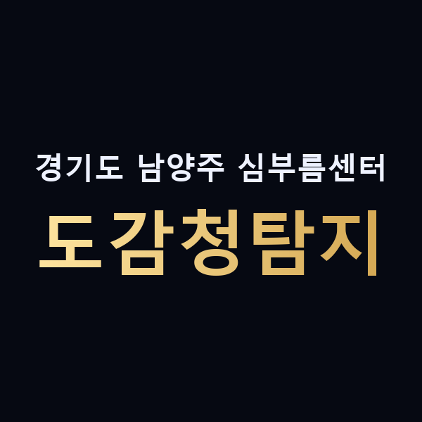 경기도 남양주 심부름센터 도감청탐지 맥가이버