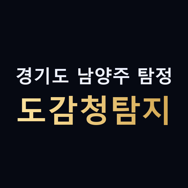 경기도 남양주 탐정 도감청탐지 맥가이버