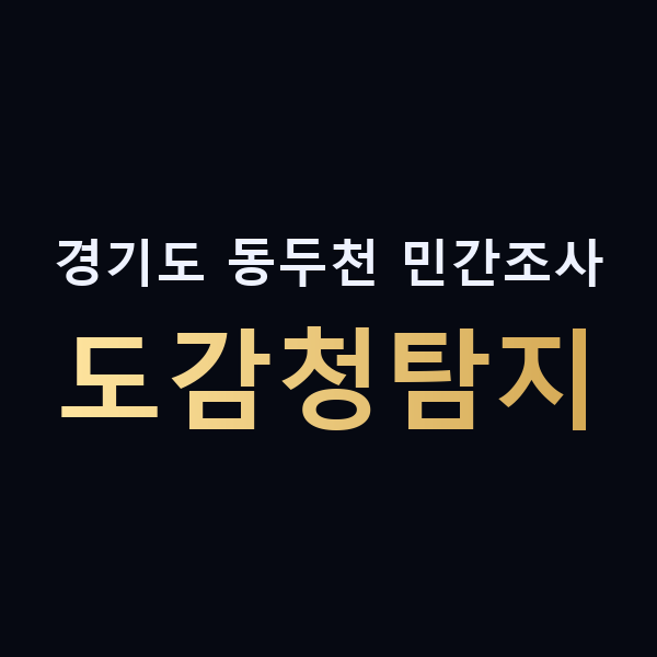 경기도 동두천 민간조사 도감청탐지 맥가이버
