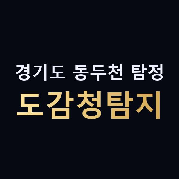경기도 동두천 탐정 도감청탐지 맥가이버