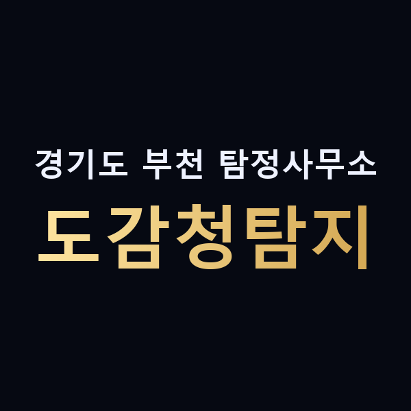 경기도 부천 탐정사무소 도감청탐지 맥가이버