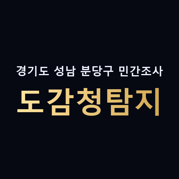 경기도 성남 분당구 민간조사 도감청탐지 맥가이버