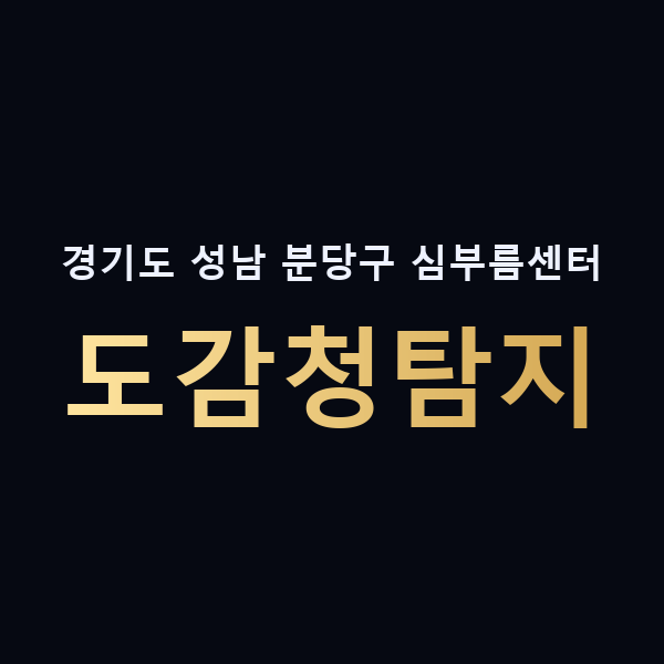 경기도 성남 분당구 심부름센터 도감청탐지 맥가이버