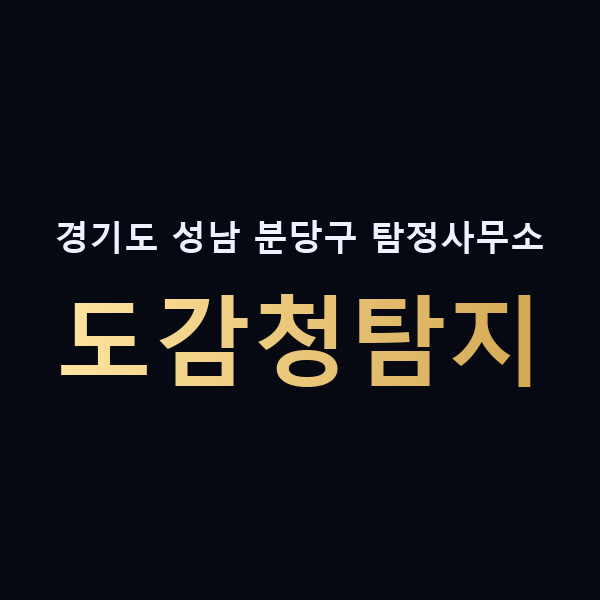 경기도 성남 분당구 탐정사무소 도감청탐지 맥가이버