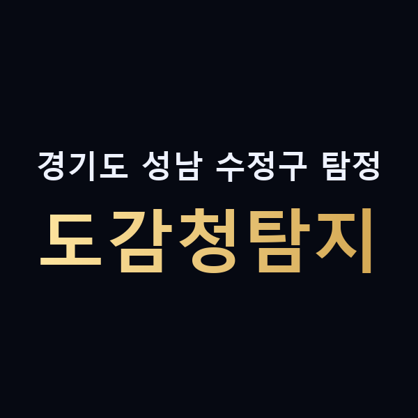 경기도 성남 수정구 탐정 도감청탐지 맥가이버