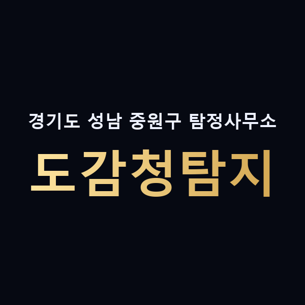 경기도 성남 중원구 탐정사무소 도감청탐지 맥가이버
