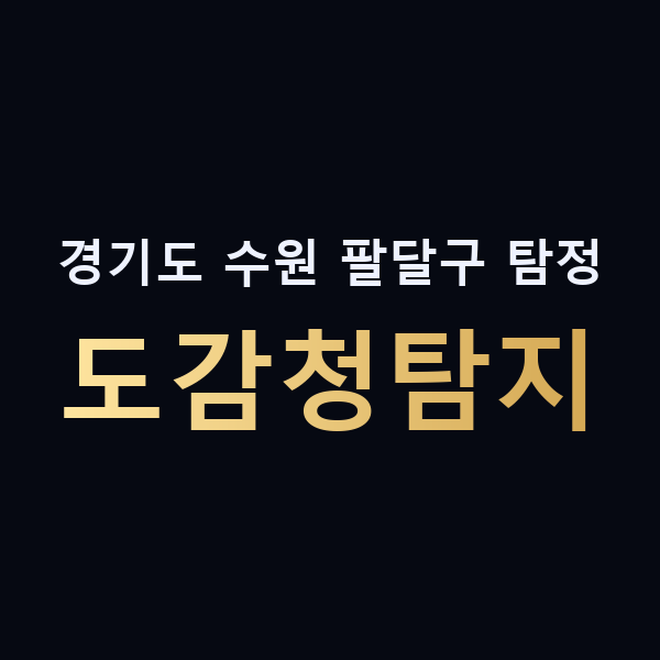 경기도 수원 팔달구 탐정 도감청탐지 맥가이버