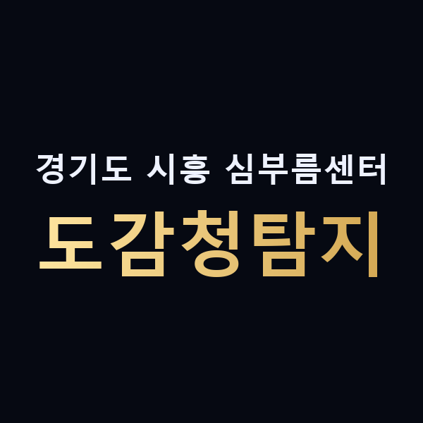 경기도 시흥 심부름센터 도감청탐지 맥가이버