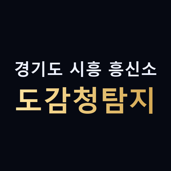 경기도 시흥 흥신소 도감청탐지 맥가이버