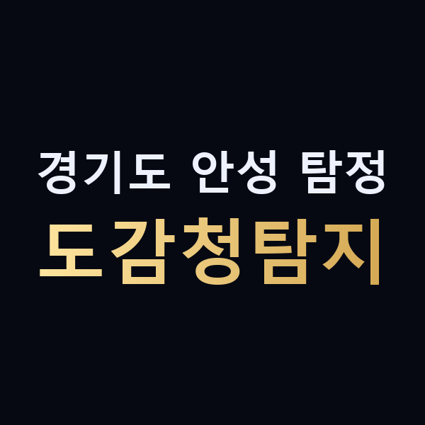 경기도 안성 탐정 도감청탐지 맥가이버