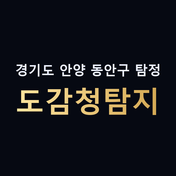 경기도 안양 동안구 탐정 도감청탐지 맥가이버