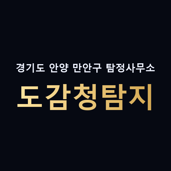 경기도 안양 만안구 탐정사무소 도감청탐지 맥가이버