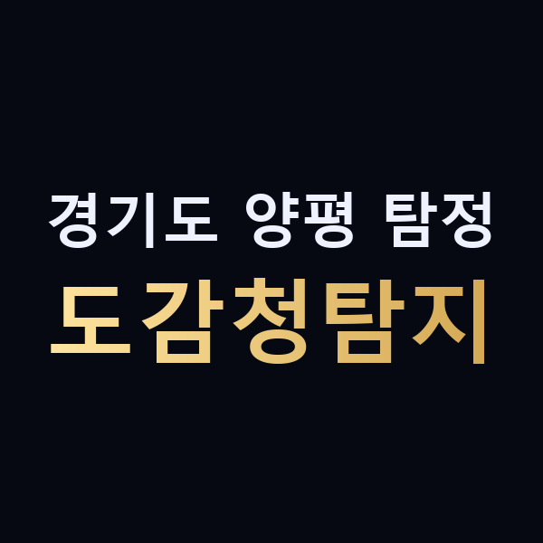 경기도 양평 탐정 도감청탐지 맥가이버