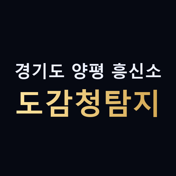 경기도 양평 흥신소 도감청탐지 맥가이버