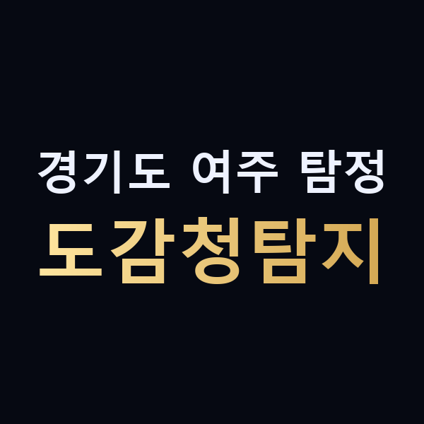 경기도 여주 탐정 도감청탐지 맥가이버