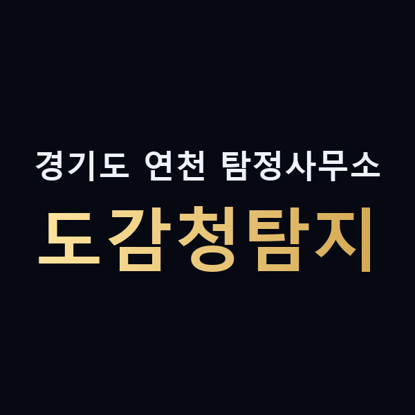 경기도 연천 탐정사무소 도감청탐지 맥가이버