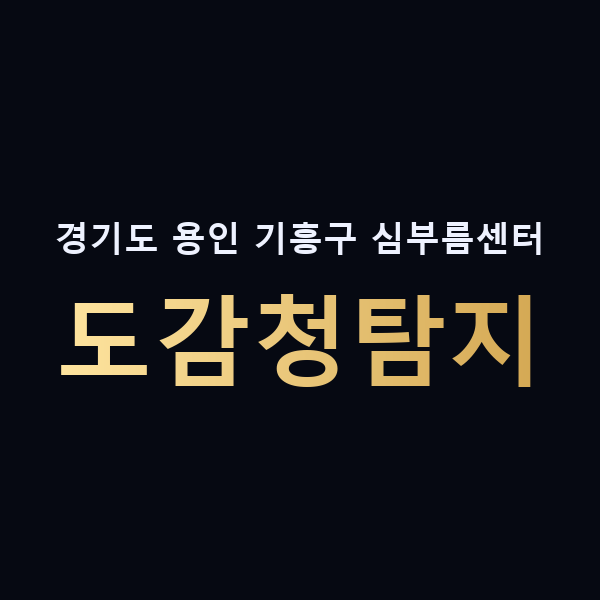 경기도 용인 기흥구 심부름센터 도감청탐지 맥가이버