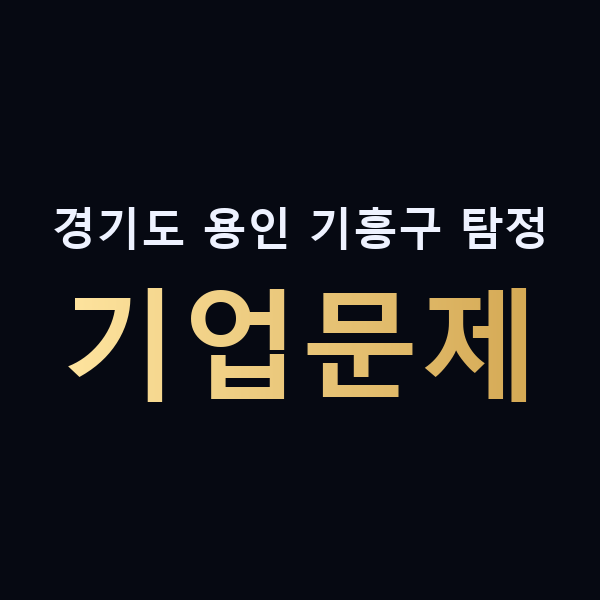 경기도 용인 기흥구 탐정 기업문제 맥가이버