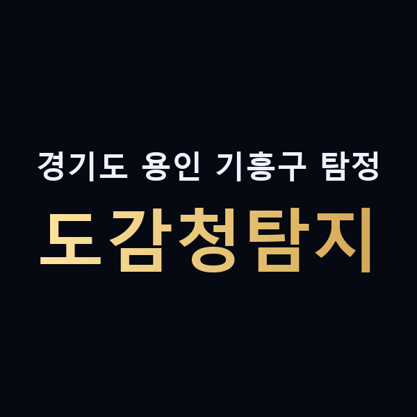 경기도 용인 기흥구 탐정 도감청탐지 맥가이버