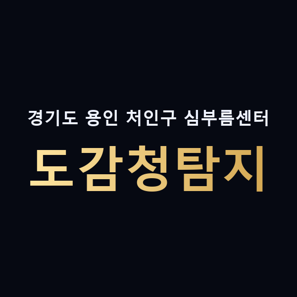 경기도 용인 처인구 심부름센터 도감청탐지 맥가이버